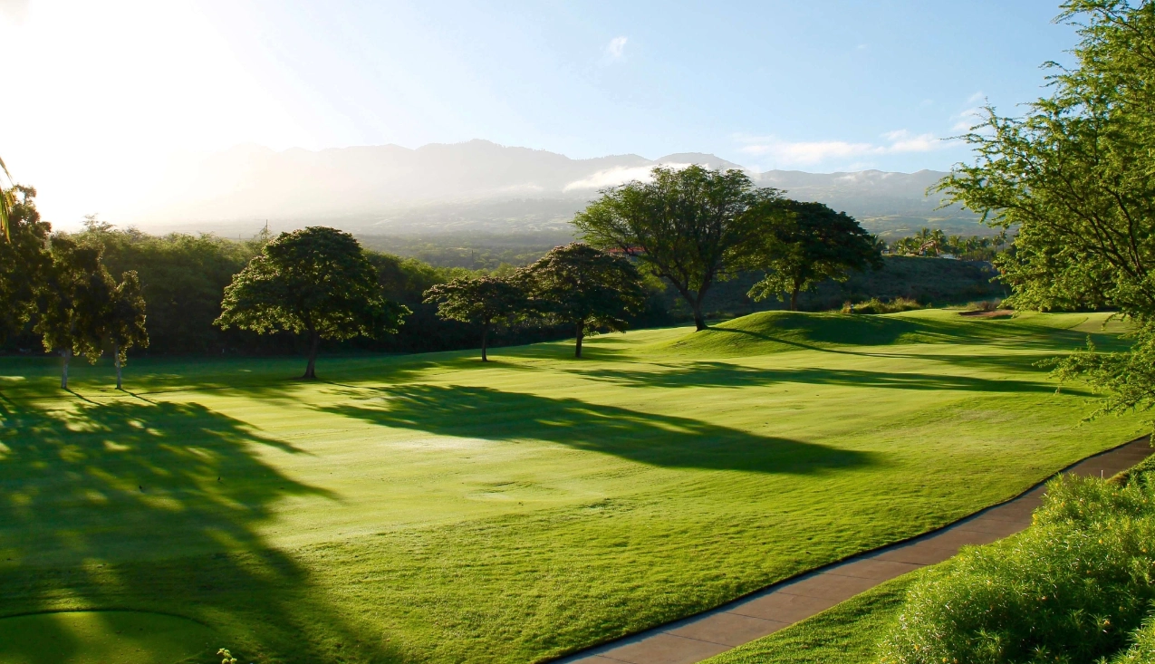 Scenic view of one of the fairways on the course on a bright sunny day